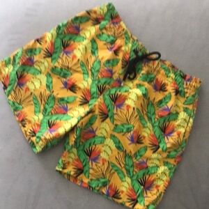 Vilebrequin swim trunks
